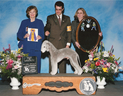 of celtic odyssey - 2009 btca national specialty show