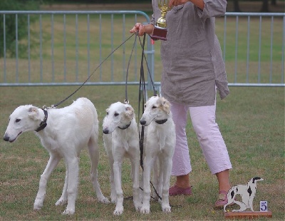 d'Ellendil - les chiots d'Ellendil, 5ème lot d'élevage à la nationale d'élevage