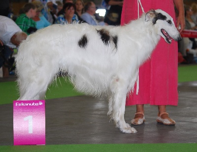 d'Ellendil - EREVAN, vice champion du Monde