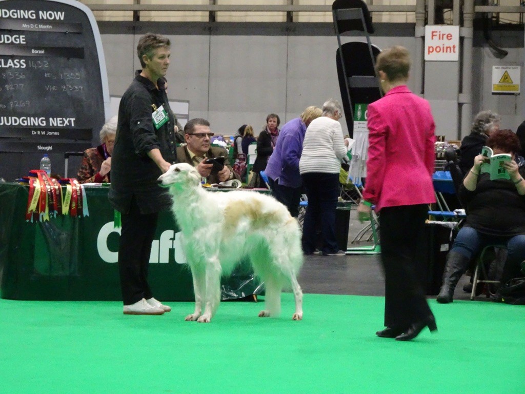 d'Ellendil - Crufts 2018