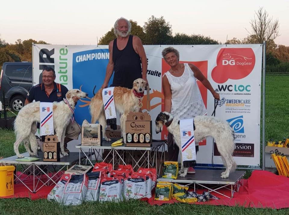 d'Ellendil - N'Satine d'Ellendil vice championne de France de Coursing 2019