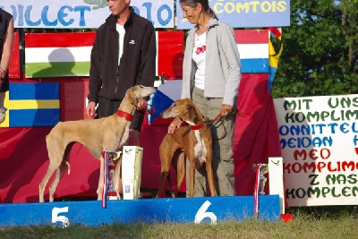 d'Ellendil - championnat d'Europe de coursing 2010