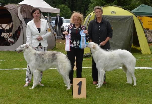 d'Ellendil - WANDHUNDSHOW LUXEMBOURG