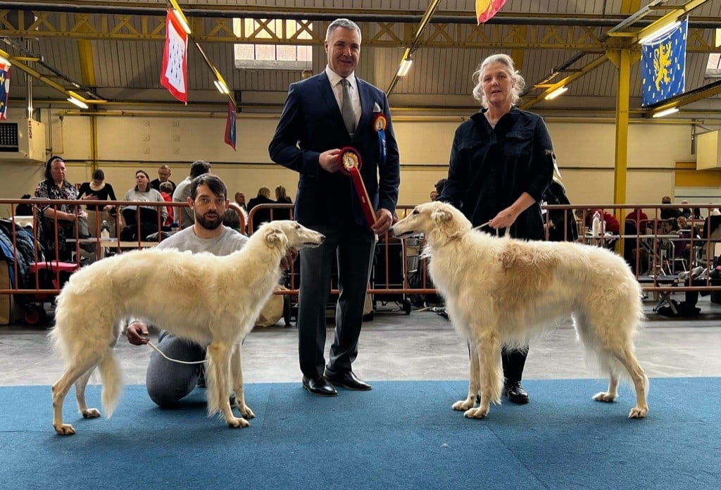 Deux nouveaux champions internationaux de beauté à l'élevage 