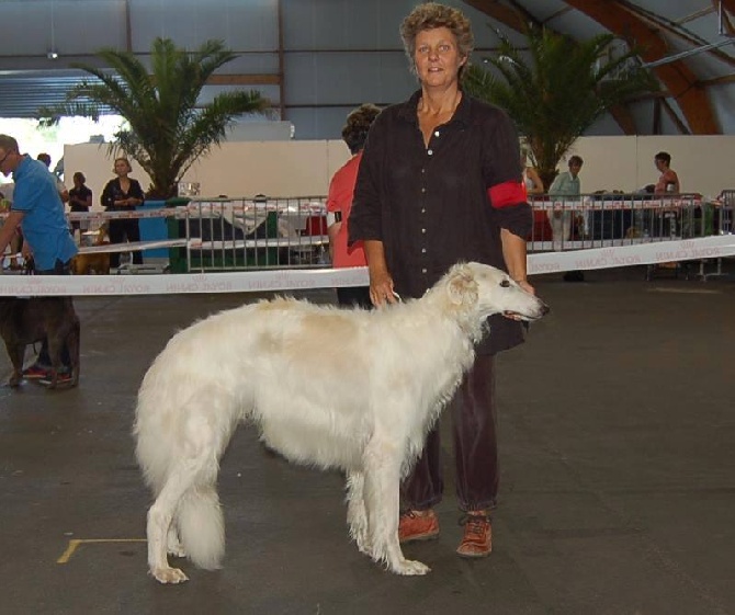 d'Ellendil - exposition internationale de la Rochelle 29/06/14