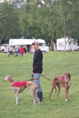 Championnat d'Europe de coursing 2011