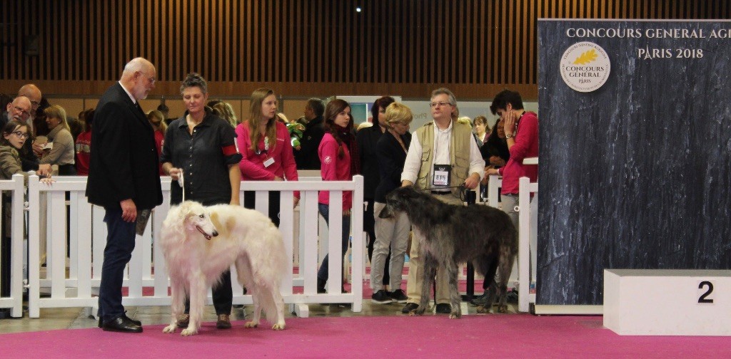 d'Ellendil - Lilleman est 3ème au Salon de l'agriculture 