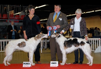 d'Ellendil - spciale de race Paris Dog Show 14/01/13