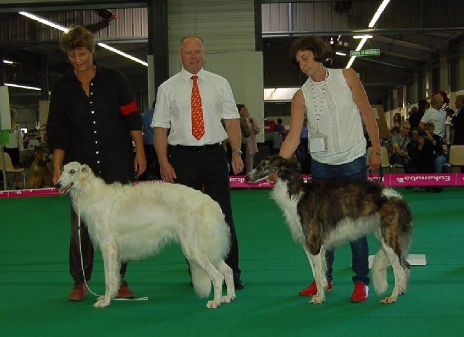 d'Ellendil - championnat de France juin 2014