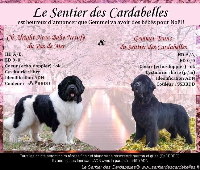 du sentier des cardabelles - Les bébés sont nés !