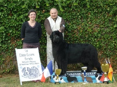 du sentier des cardabelles - Dubaï du Sentier des Cardabelles devient Championne de France !