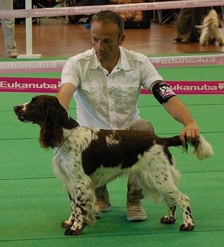 du Clos d'Appé - Championnat de France 2014