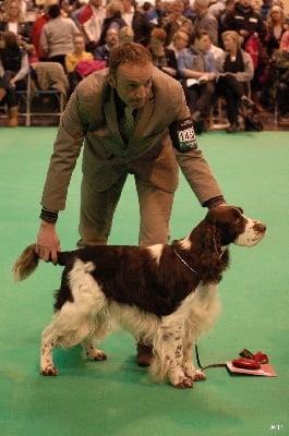 du Clos d'Appé - CRUFTS 2013 ... What a day !