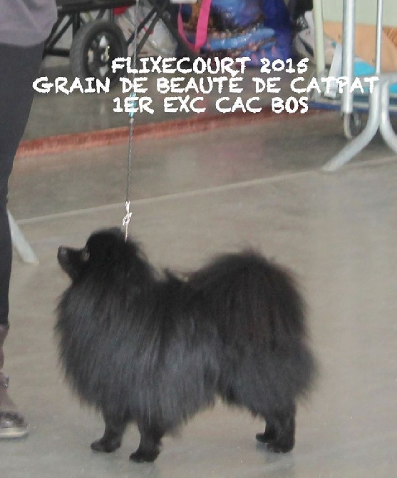 de Cat'Pat - Flixecourt 2015