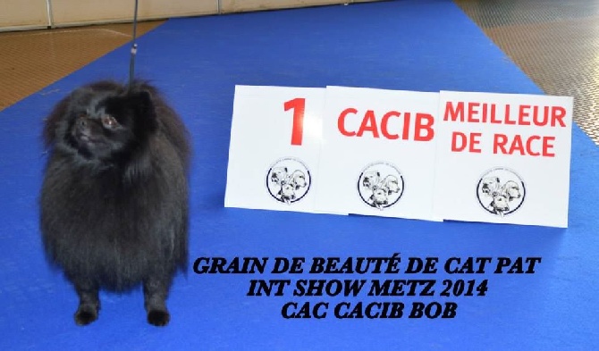 de Cat'Pat - grain de beauté de cat'pat