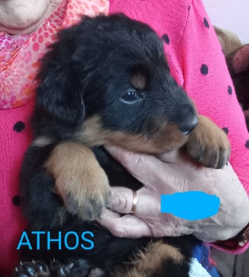 ATHOS