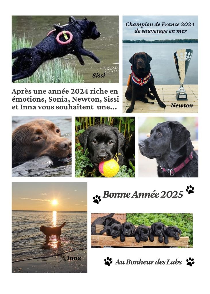 Bonne Année 2025