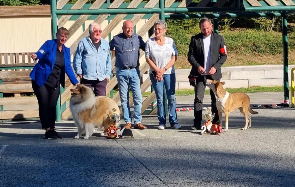 Un Air Embaume of Lowland Green Valley Meilleur de Exposition Regional