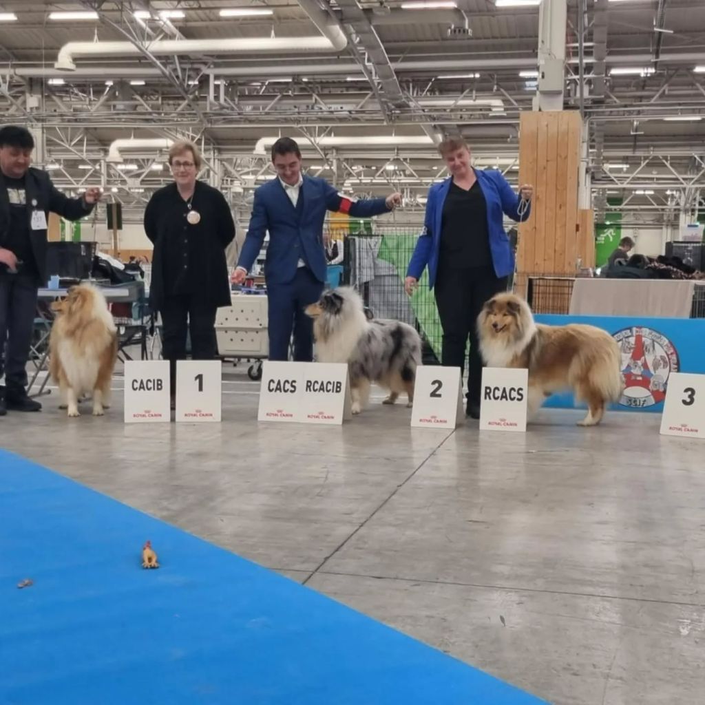 Of The Lovely Bears - Un Air Embaume of Lowland Green Valley Res.CAC Paris Dog Show