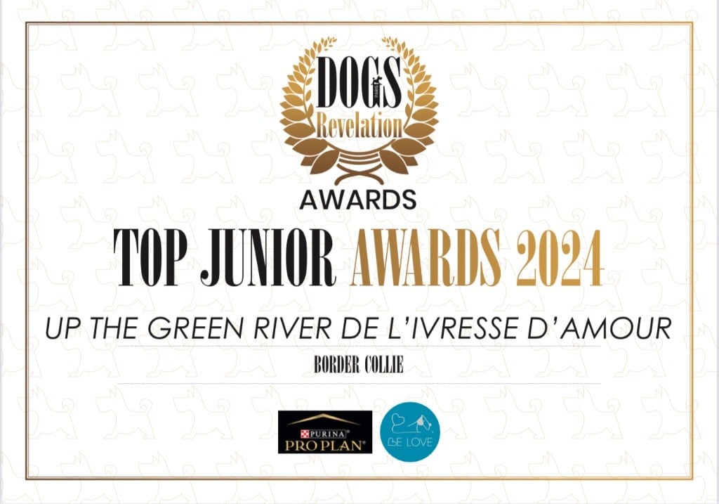 De L'Ivresse D'Amour - Up The Green River élu top junior awards 2024