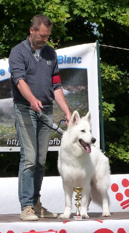 de l'ange Gardien de Faujus - Résultats Exposition Régionale d'Élevage du Berger Blanc Suisse à COUR