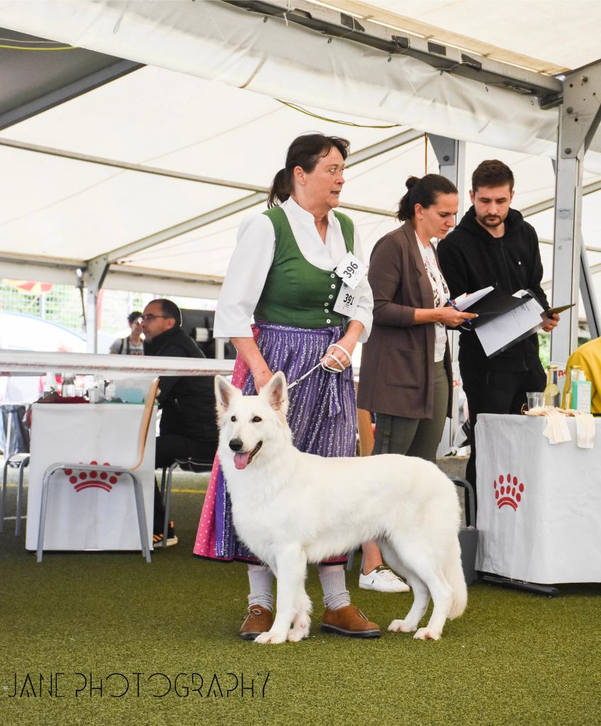 de l'ange Gardien de Faujus - Résultats expositions Rogla Slovénie 2023