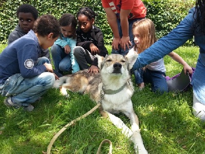 de l'ange Gardien de Faujus - Dog Assistant