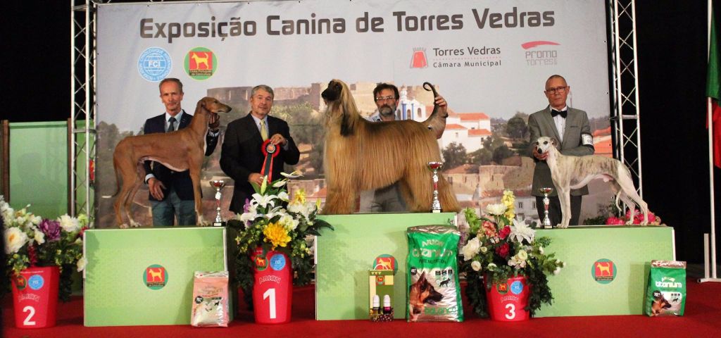 des Carmauries - Torrès Védras  ( Portugal)