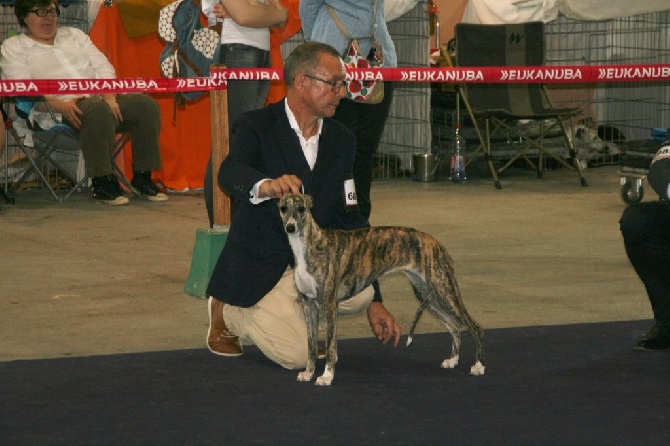 des Carmauries - Championnat de France