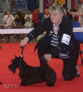 du Mat des Oyats - Bulle du mat des oyats Amiens rcac rcacib