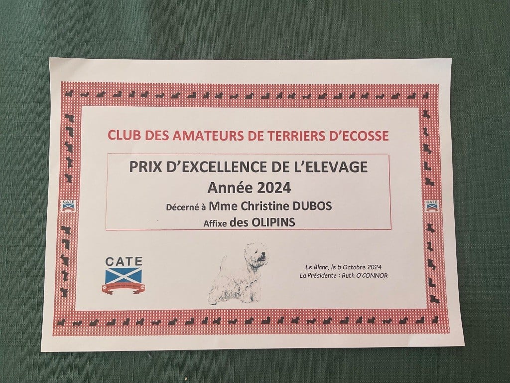 des Olipins - PRIX EXCELLENCE D'ELEVAGE 2024