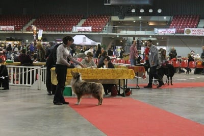 expo de martigues