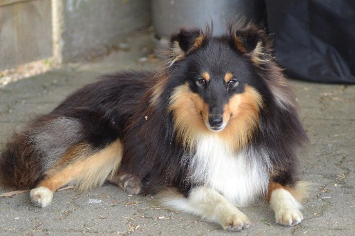 Du puits saint loup - Janet a rencontré son fiancé le 22/03