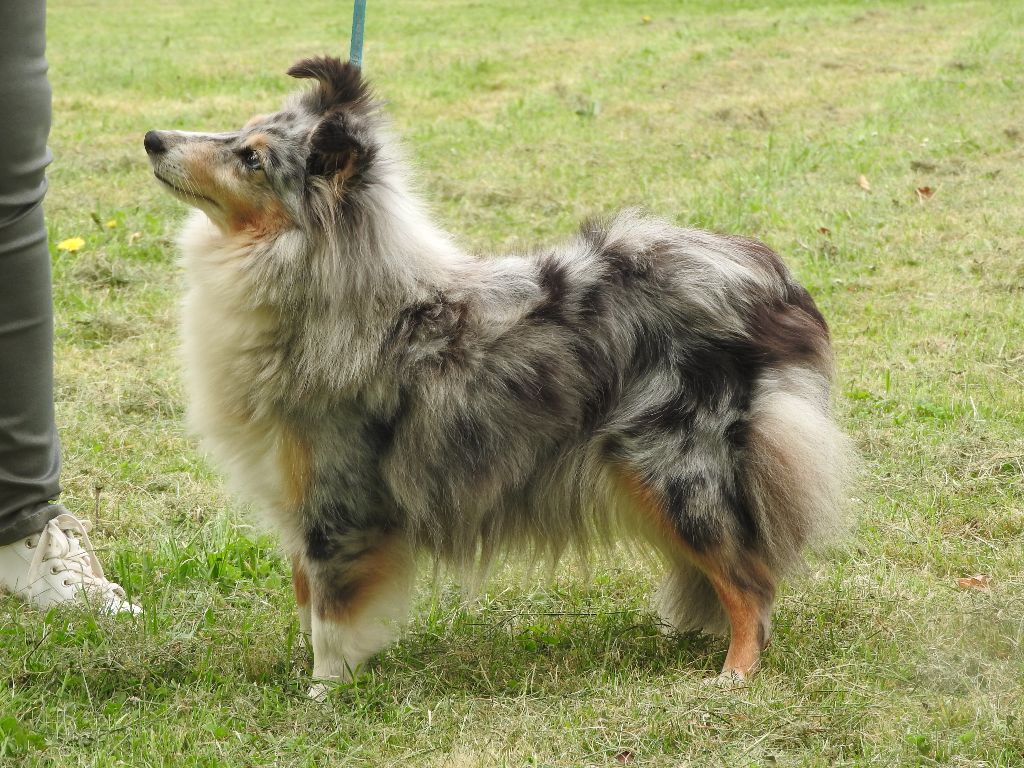 Du puits saint loup - félicitations à Lou-loup du PSL qui est championne vétéran