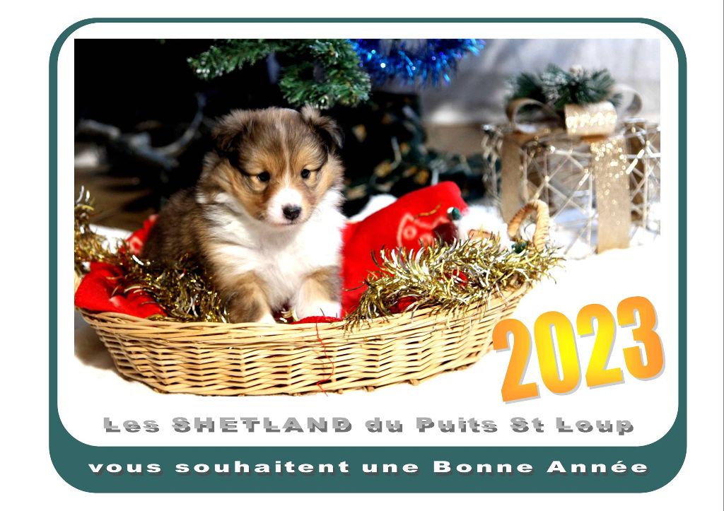 Du puits saint loup - Bonne Année 2023