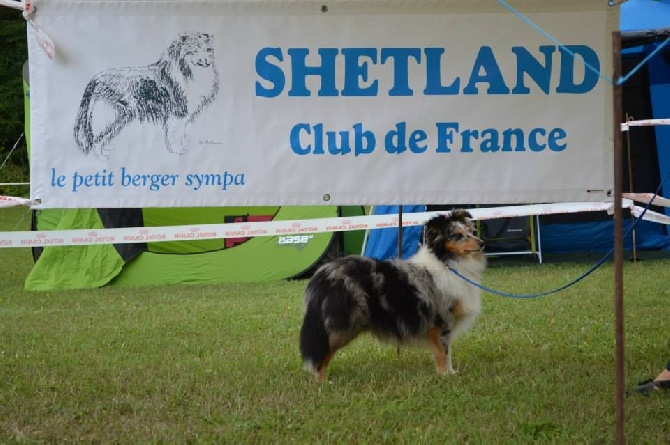 Du puits saint loup - 13/07/14 RE de Sarreguemines