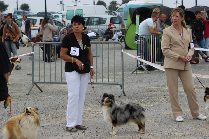 Du puits saint loup - Expo de Compiègne 14/09/14