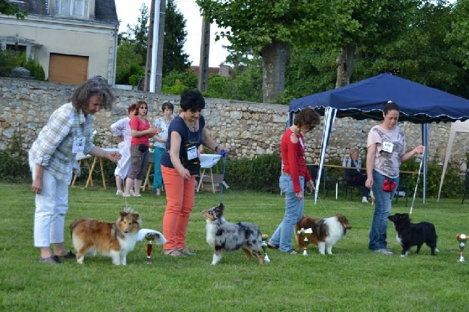 Du puits saint loup - LA NATIONALE D ELEVAGE 2014