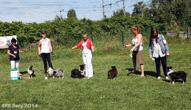 Du puits saint loup - le 22juin régionale de Sucy en Brie