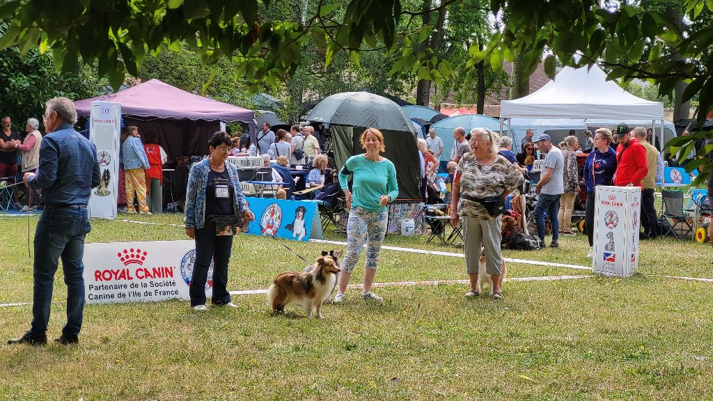 Du puits saint loup - Reprise des expositions