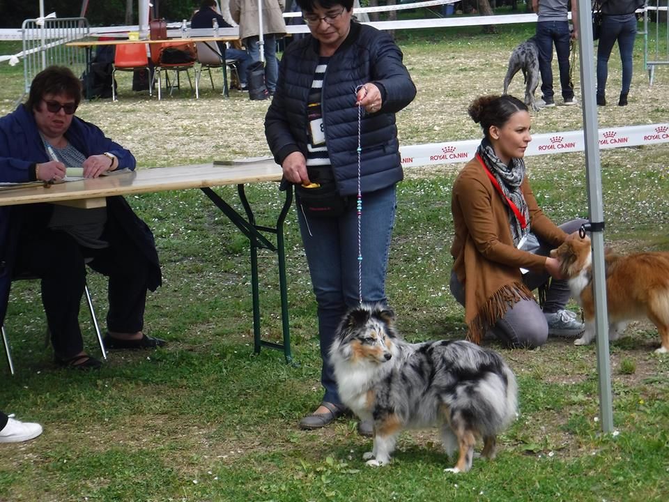 Du puits saint loup - le 7/05/17 exposition d'Aigrefeuille d'Aunis dans le 17