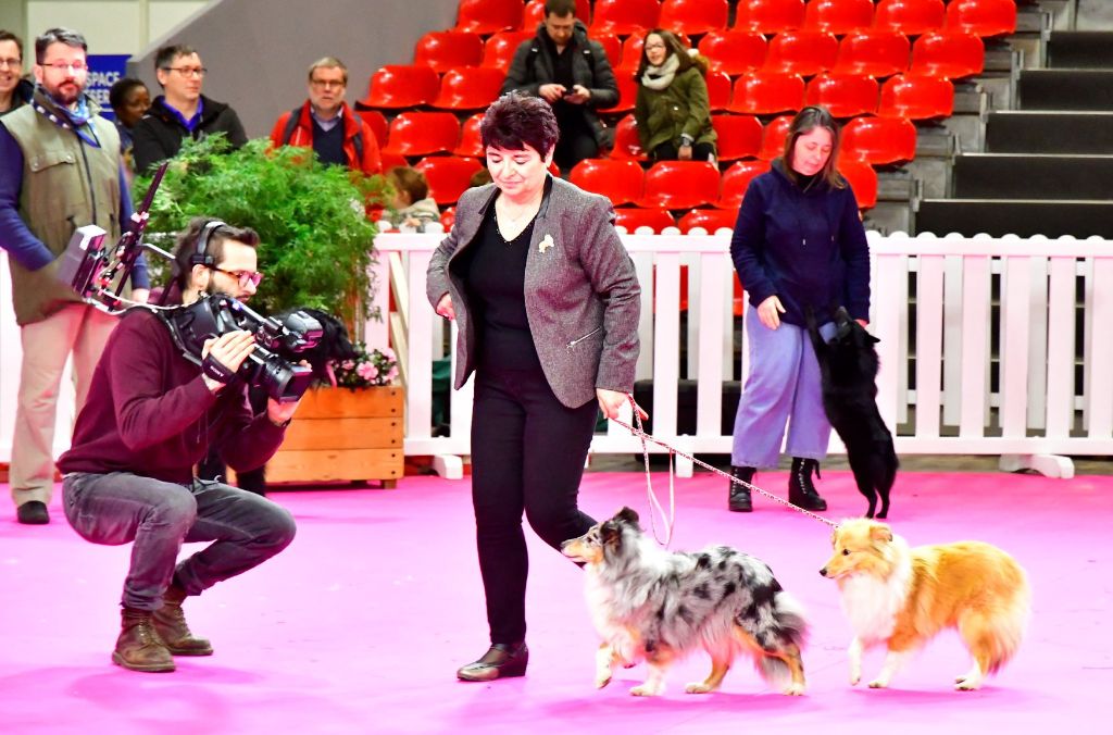 Du puits saint loup - Salon de l'agriculture le 23/02/2020