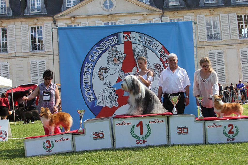 Du puits saint loup - exposition de Flins le 8/05/18