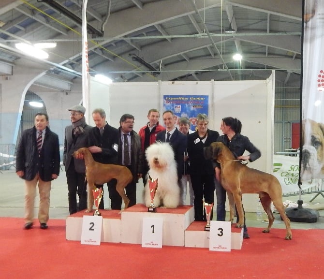 OF REALITY DREAM - 15 Février : Niort : Pandora BEST IN SHOW 