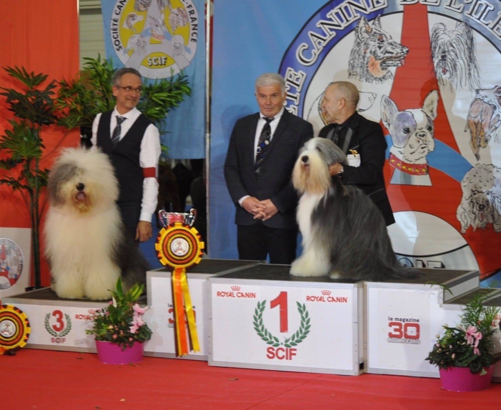 OF REALITY DREAM - 13 Janvier : Paris Dog Show