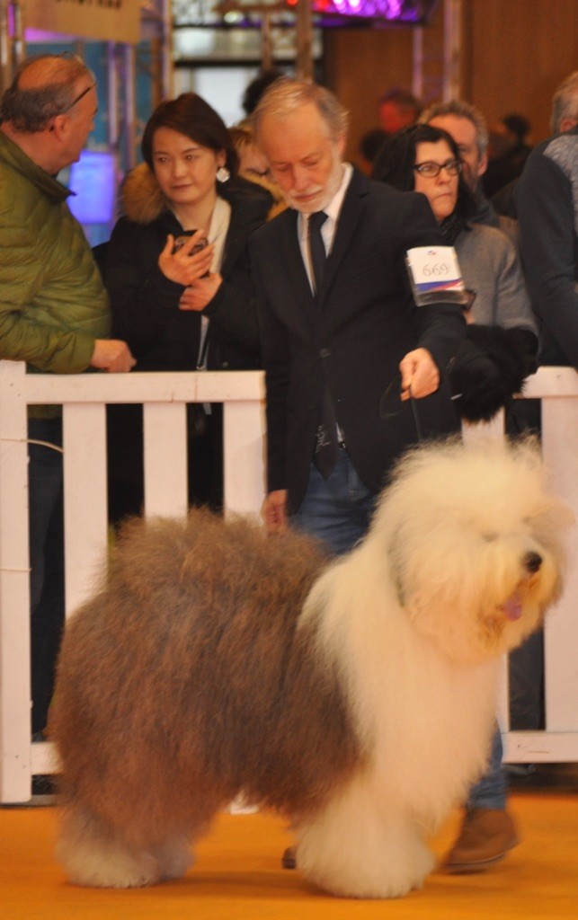 OF REALITY DREAM - Concours Général Agricole 2019