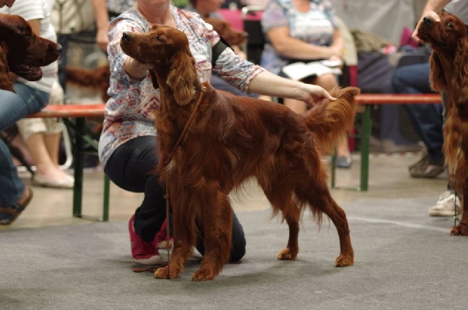 De la cour saint florent - Exposition Internationale de Luxembourg - le 30.08.2015