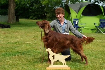 De la cour saint florent - expo canine Stuttgart Muhlhausen