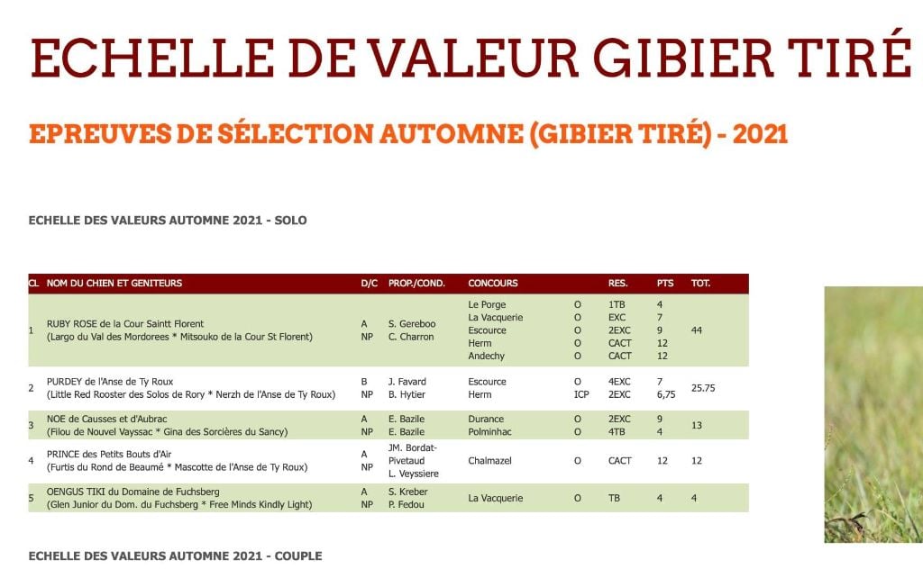 De la cour saint florent - 2021 résultats en fields trials