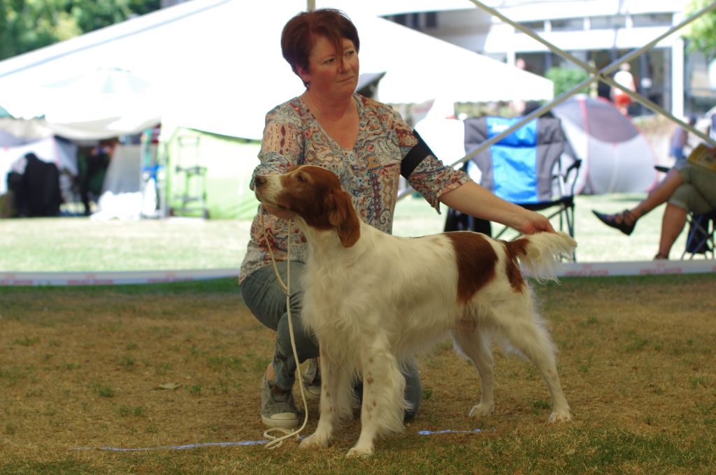 De la cour saint florent - Ludwigshafen juillet 2018